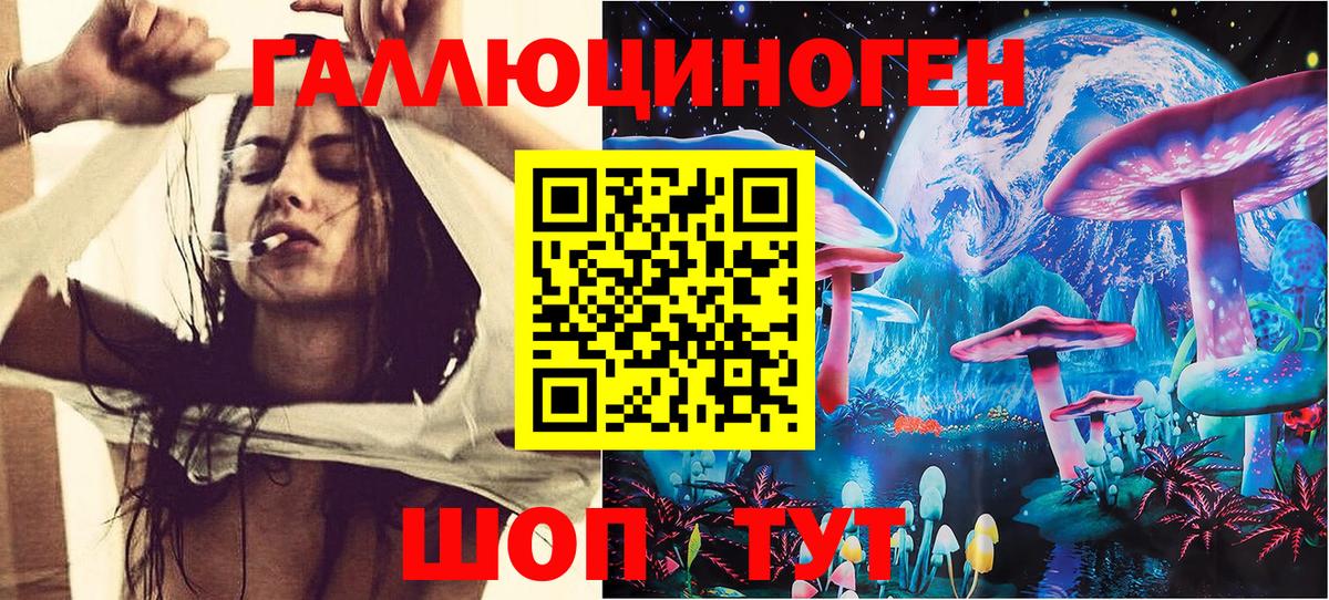 закладки  Псилоцибиновые грибы ЛСД  Кизилюрт  Вход с VPN  Псилоцибиновые грибы GOLDEN TEACHER 